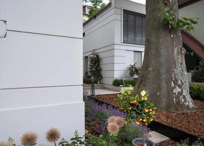 Willa Atelierhaus In Loschwitz